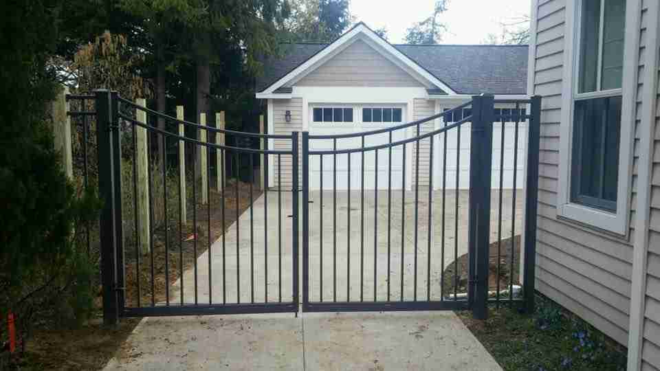 12670486-980206965348227-9063553631206822534-n