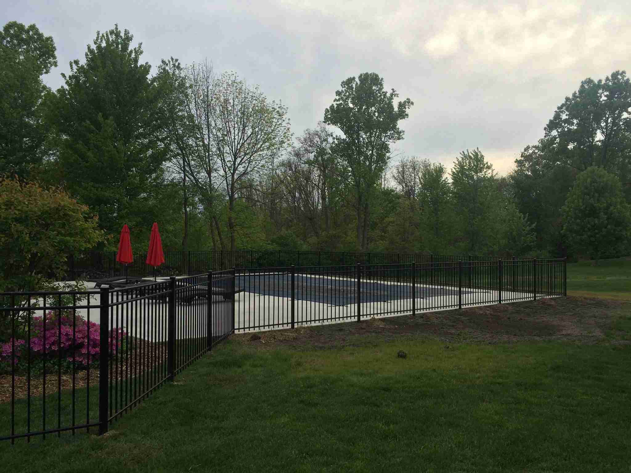 13268481-1012034572165466-3588533654584677058-o-224---1-